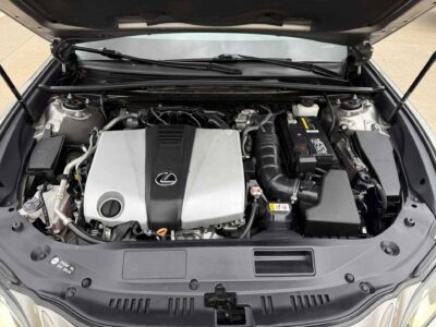 2020 Lexus ES 350 F SPORT