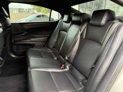 2020 Lexus ES 350 F SPORT