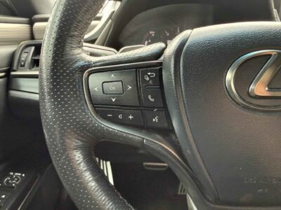 2020 Lexus ES 350 F SPORT